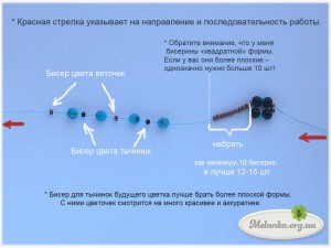 img_5582